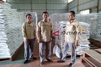 Kansilog Buntok laksanakan stabilisasi harga bawang merah