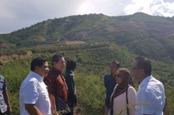 IMIP minta bantuan DPR RI soal TKA