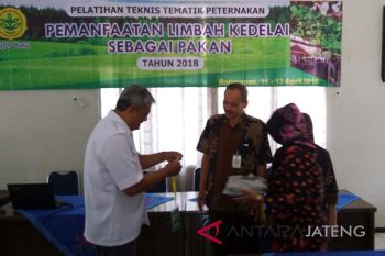 Potensi lahan kedelai di Banyumas capai 10.000 hektare