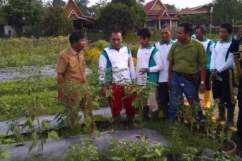 Puluhan Petani Dari 5 Kabupaten Upgrade Pengetahuan Untuk Jadi Petani Yang Lebih Baik