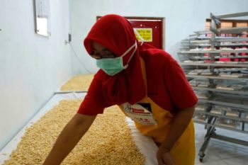 Sarihusada mendukung kemandirian pangan dan ekonomi masyarakat