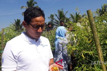 Sandiaga janji stabilkan harga bawang di Jakarta