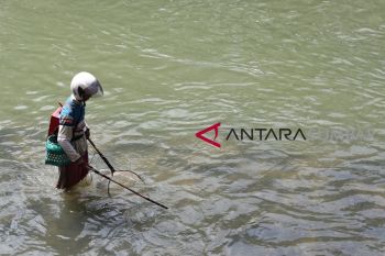 CARI IKAN SUNGAI