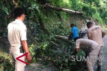 Beri kenyamanan pengguna jalan, BPBD Agam bersihkan ranting di Kelok 44