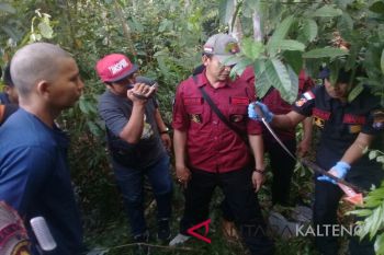 Pembunuh sadis 'Bos Sawit' dibawa ke Polda Kalteng