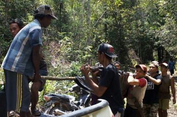 Dua pekan, dua warga tewas tertimpa pohon di kecamatan ini
