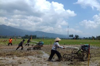 Wako harapkan "basikakeh roda basi" mampu mempopulerkan agrowisata Solok