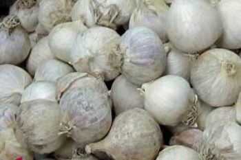 Harga bawang putih menjadi Rp45.000/kg