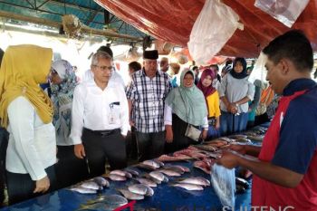 Harga ikan di Parigi melonjak setelah lebaran