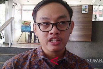 Ekonom: BI tidak bisa andalkan cadangan devisa