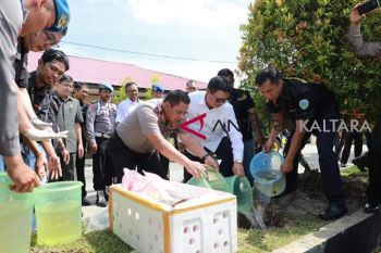 Polda Kaltara musnahkan 9 kg sabu