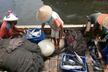 PANEN IKAN