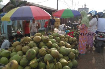 Meraup untung musiman dari es kelapa muda saat ramadhan