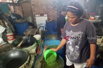 Produsen cincau musiman coba peruntungan saat ramadhan