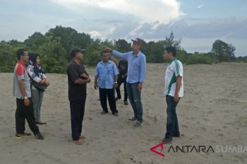 Potensi budidaya udang vaname capai 200 hektare di Agam