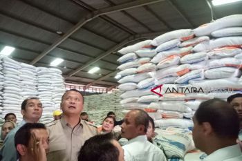 Komisi IV DPR tolak beras impor