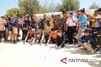 Peserta MNEK   lepas tukik di Gili Trawangan