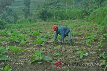 Merapi kembali bergemuruh, warga Stabelan Boyolali diminta lebih waspada