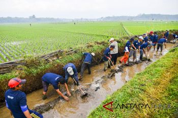 Padat Karya Tunai Petani