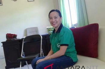 RSUD Kota Kupang rawat 19 penderita DBD