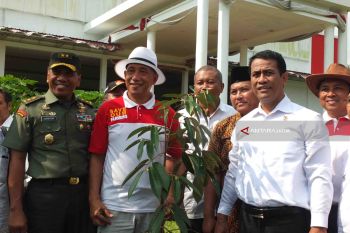 Mentan Tanam Bibit Durian