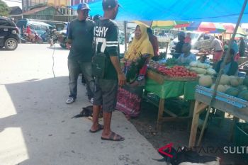 Sambut Ramadhan, harga ayam kampung melonjak