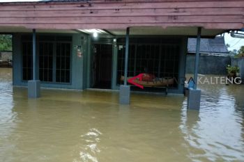 Banjir di Muara Teweh mulai surut