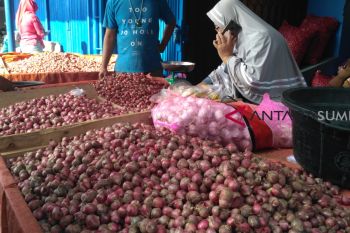 Naiknya harga bawang di Sumbar karena stok kurang