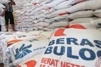 Bulog Inhil Jamin Ketersediaan Beras 5 Bulan Kedepan