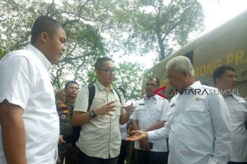 Pemkot Palembang bangun pasar ikan modern