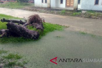 Kemen-PUPR gelontorkan Rp341 miliar bangun sanitasi Kalteng