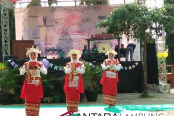 OSIS SMAN 9 Bandarlampung Gelar Euphoria 2018