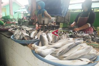 Pasokan ikan laut di Seruyan berkurang