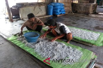 Produksi teri asin di Pulau Pasaran turun