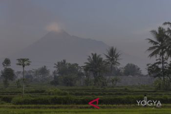 Bupati Sleman : kondisi lereng merapi mulai pulih