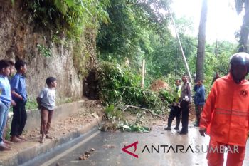 Dua penambang di Wonosobo tertimbun longsor