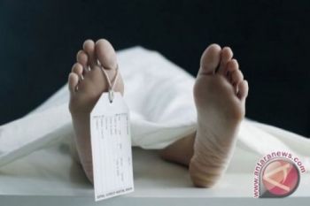 Basarnas temukan jenazah di perairan Konawe Utara