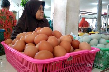 Harga telur ayam di Purwokerto kembali naik