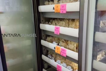 Wapres ingatkan PMI peningkatan kebutuhan darah