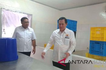 Kadin: perikanan Bitung belum beroperasi optimal