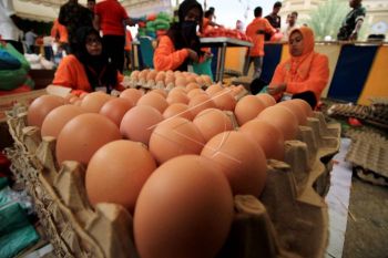 Pemkab: harga sembako belum mengalami kenaikan signifikan