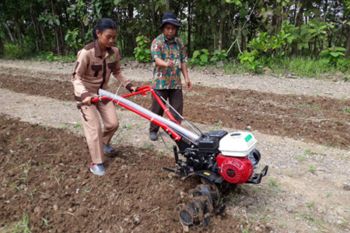 Mahasiswa STPP Magelang dampingi Kelompok Tani Jlumpang