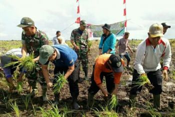Pemkab Seruyan tanam padi perdana 2018