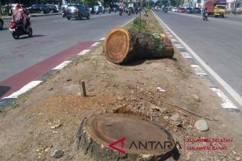 Lantamal VI pangkas pohon awal musim hujan