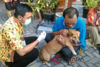 Antisipasi Rabies, anjing di Boyolali divaksin