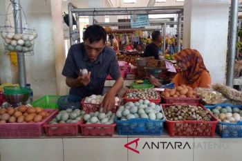 Jelang Ramadan, Harga telus ayam ras di Purwokerto kembali naik