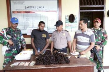 TNI amankan warga PNG pembawa komoditi tanpa dokumen