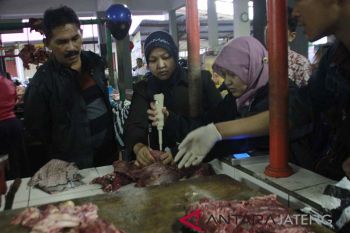 Tim gabungan Kota Magelang temukan daging gelonggongan
