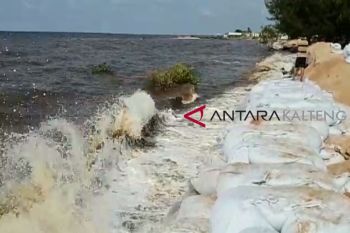 Tanggul darurat Ujung Pandaran hanya bertahan beberapa bulan, selanjutnya?