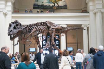 Fosil dinosaurus sepanjang sembilan meter terjual 2,3 juta dolar di Paris